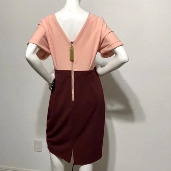 Alexia Ardmor NEW Color Block Pink/Burgundy Midi Sheath Dress Size XL - Picture 4 of 12